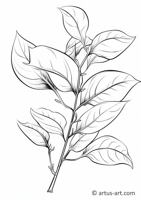 Page de coloriage de feuilles de kaki